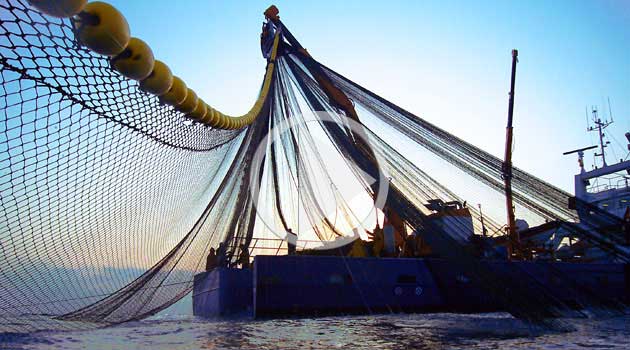 nets, boat