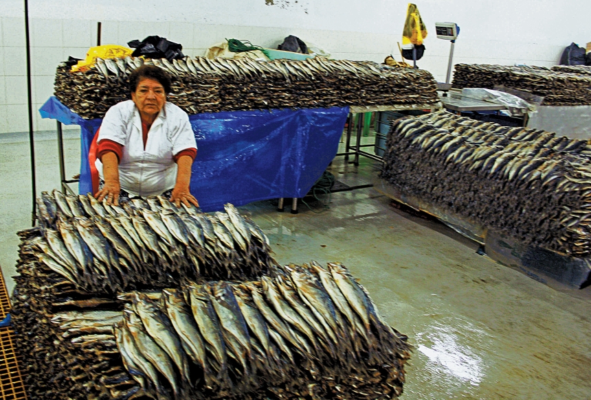 Jack mackerel, fresh off the boat, is prepared for markets in Peru