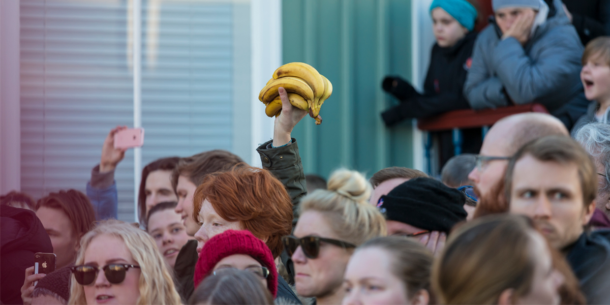 People bring bananas to a protest against Icelandic prime minister Sigmundur Davio Gunnlaugsson.