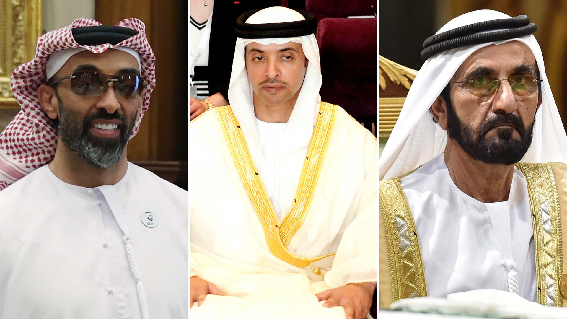 Jeques Tahnoon, Hazza y Maktoum de los Emiratos Árabes Unidos
