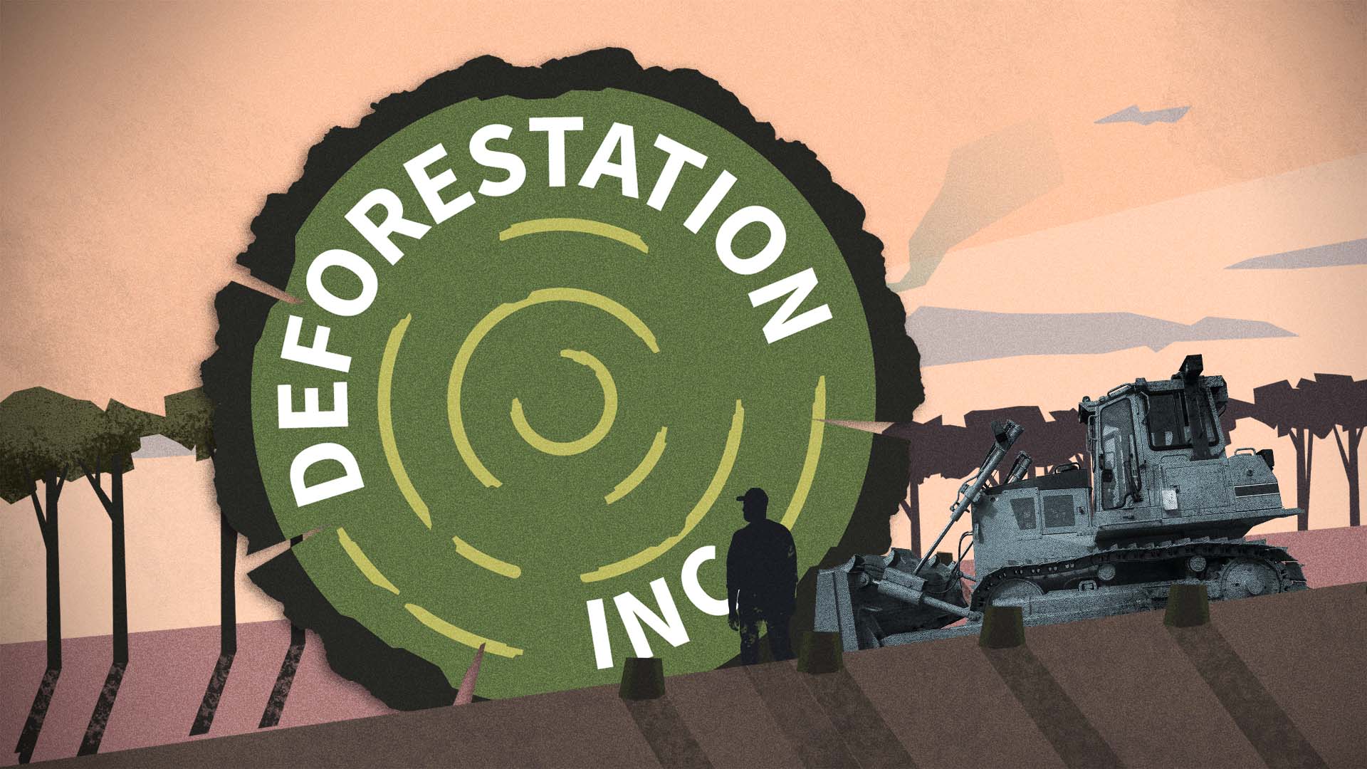 Hollow commitments and vanishing forests': World not on track to halt  devastating deforestation