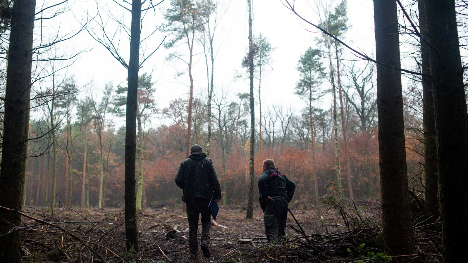 Deforestation Inc. reporters checked global promises to end forest loss.  This is what they found - ICIJ