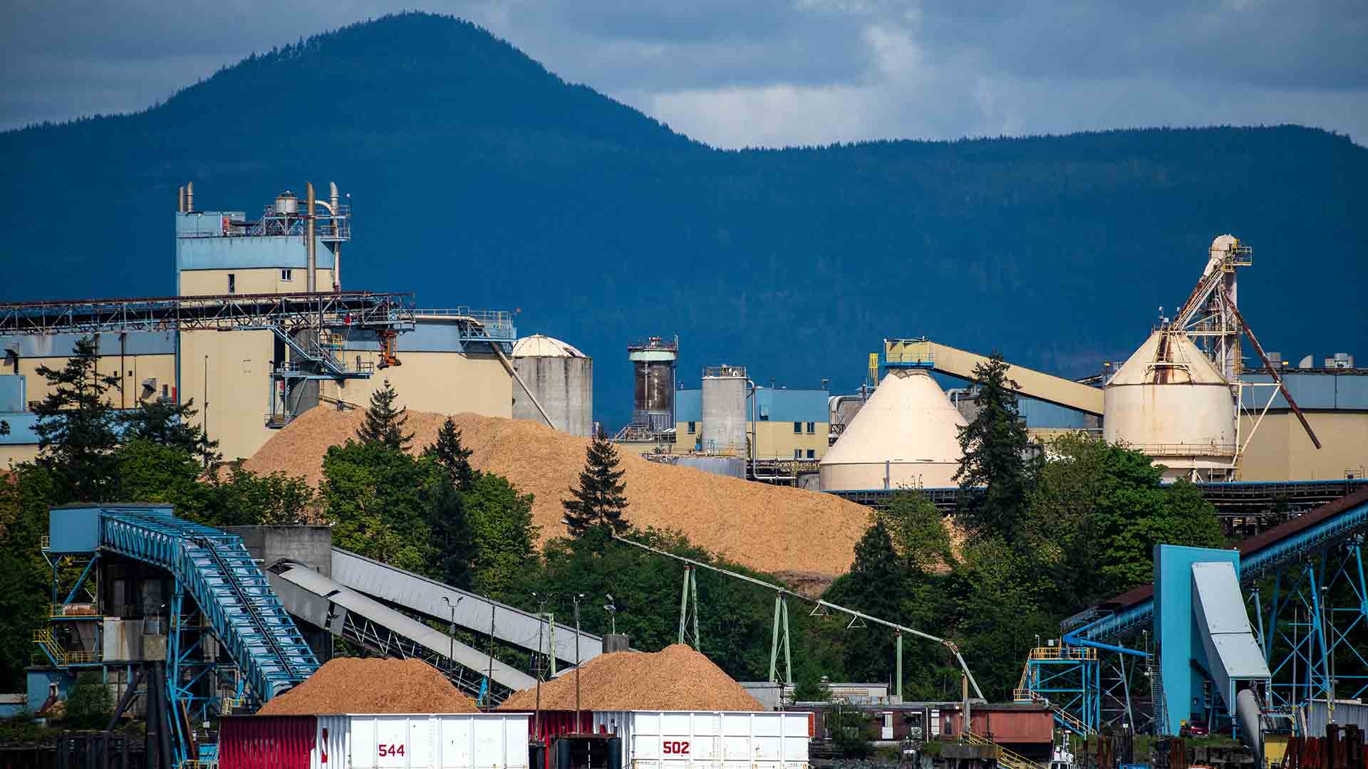 A large paper mill in front of a mountain