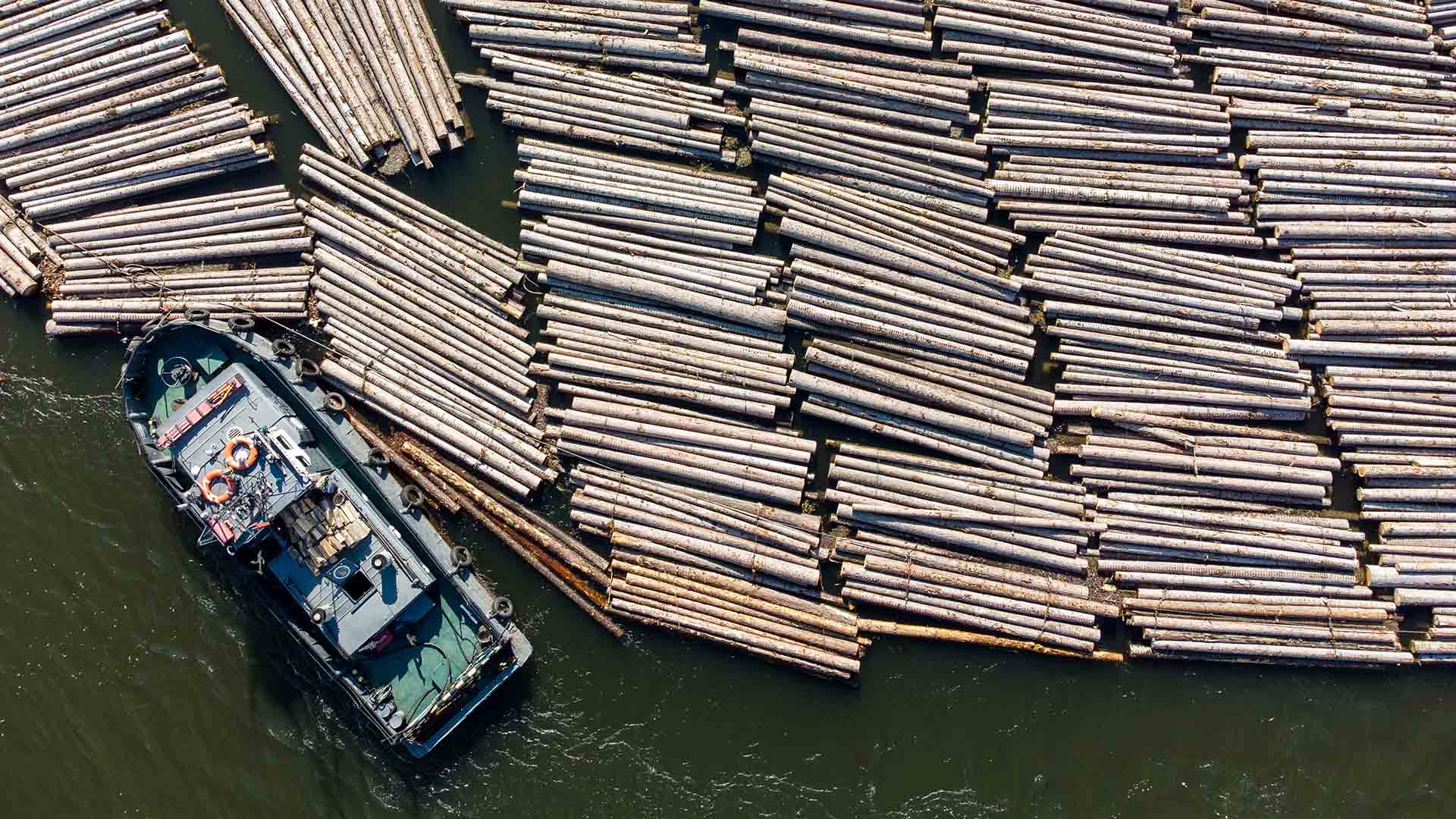 A boat moored alongside a large timber log raft in Russia