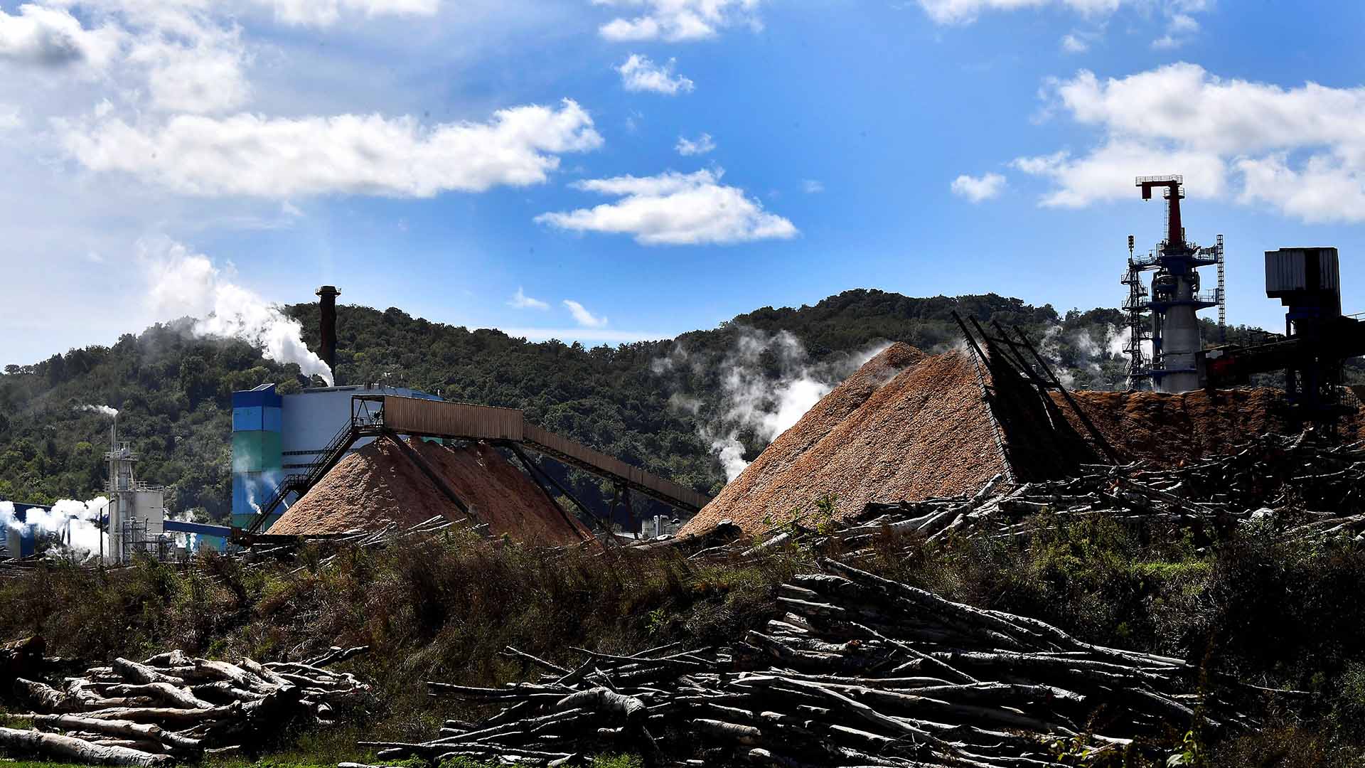 Wide photo showing logs and a factory mill against a blue sky.