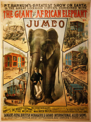 A poster for Jumbo the elephant.
